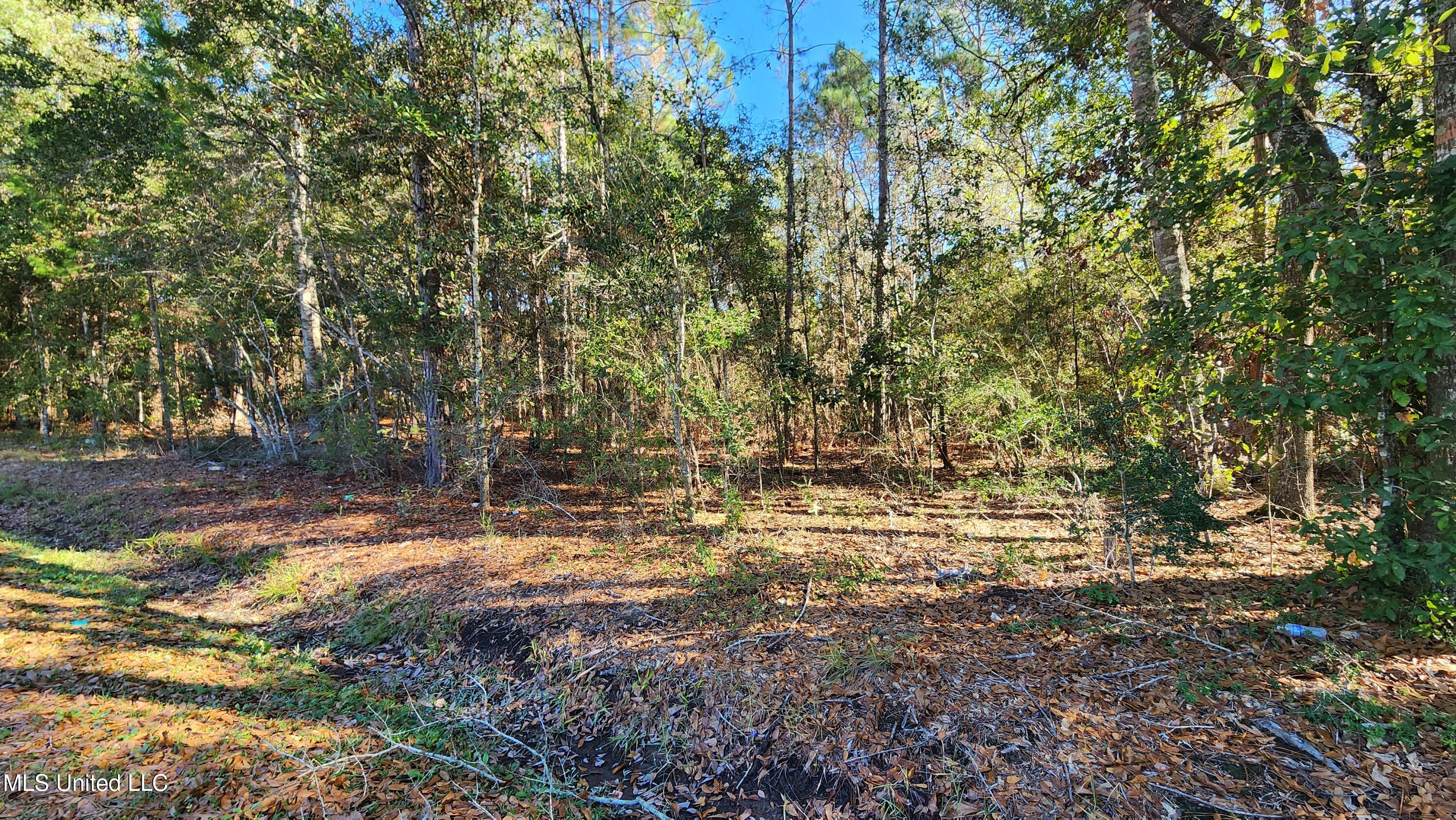 0 Sunflower Street Bay St. Louis, MS 39520 - Photo 3 of 5 pic5