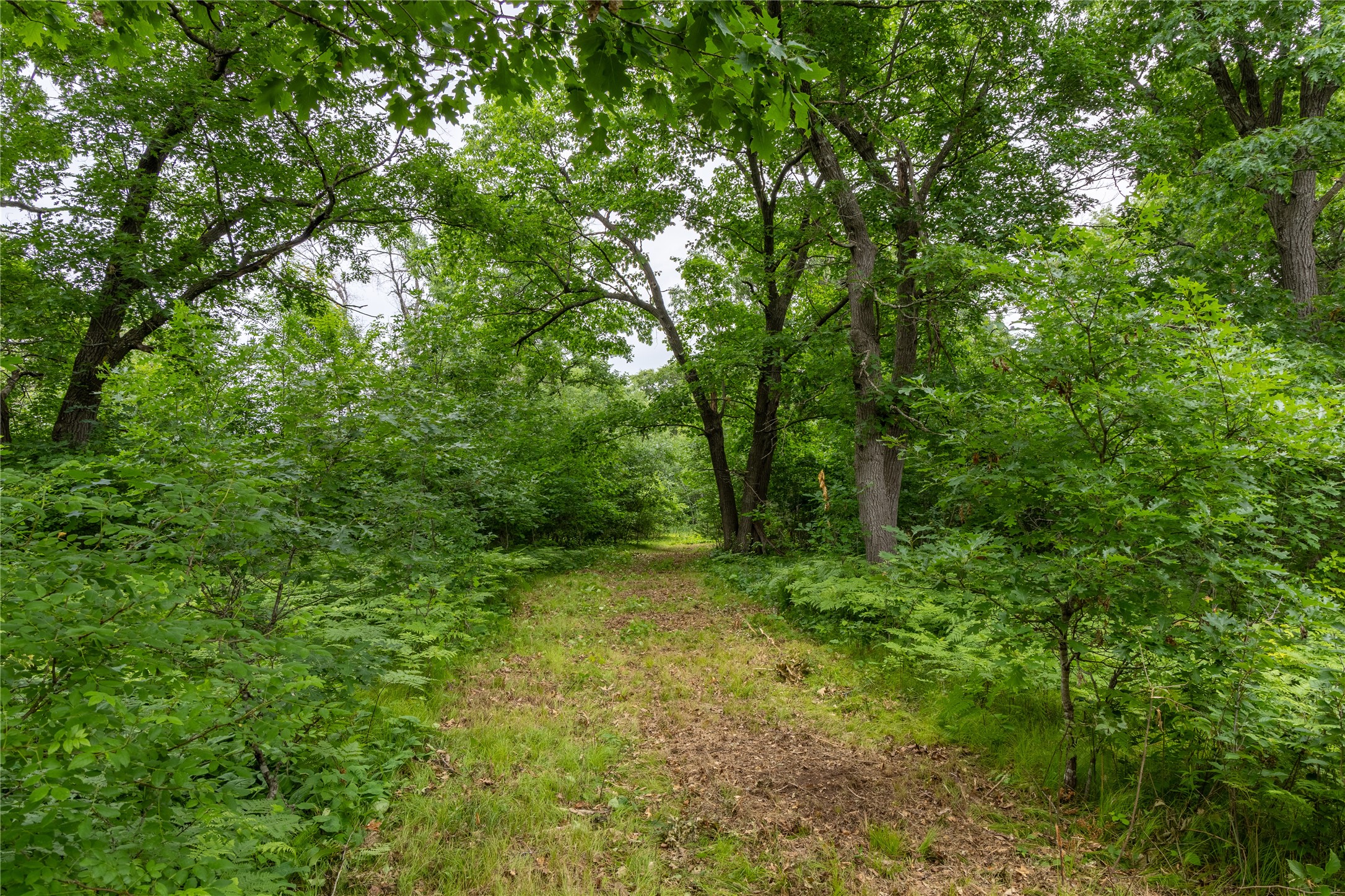N1297 Cth Street Bruce, WI 54819 - Photo 14 of 43