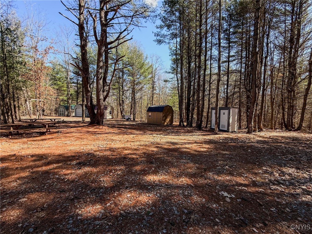 0 Black Ash Road Addison, NY 14801 - Photo 16 of 50