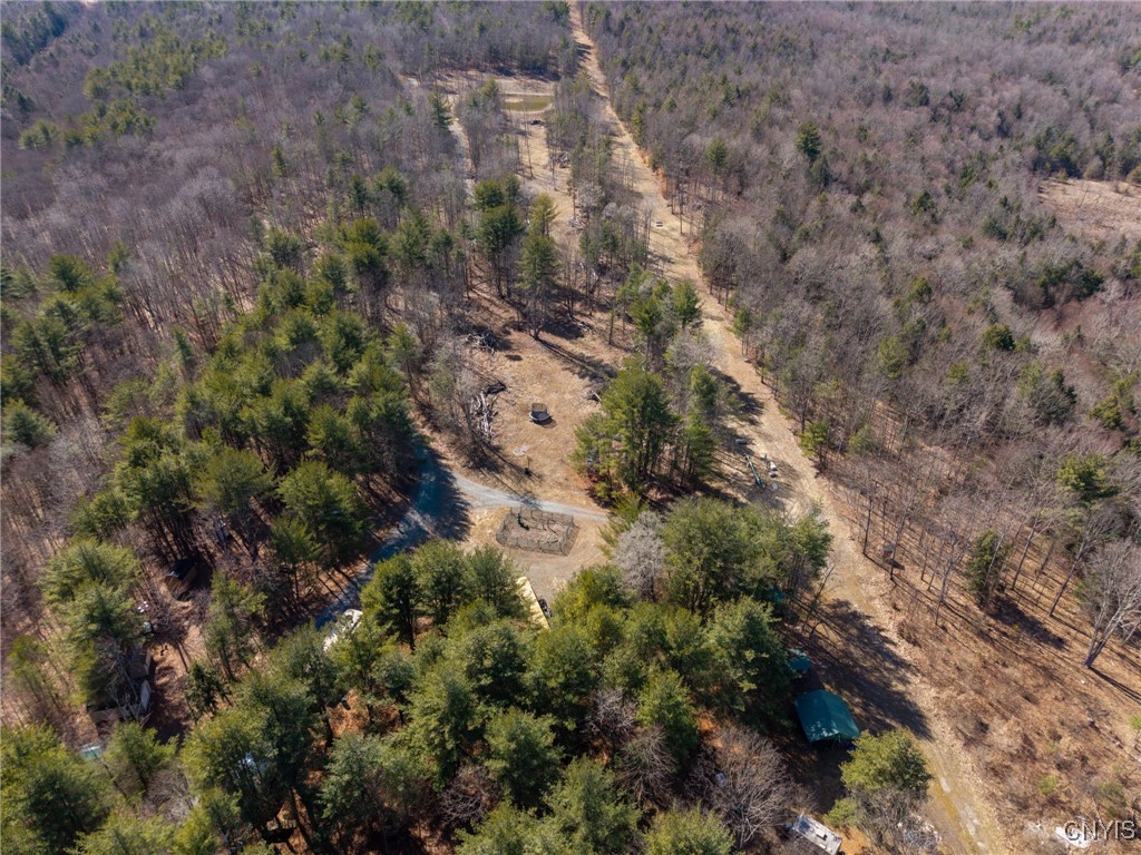 0 Black Ash Road Addison, NY 14801 - Photo 2 of 50