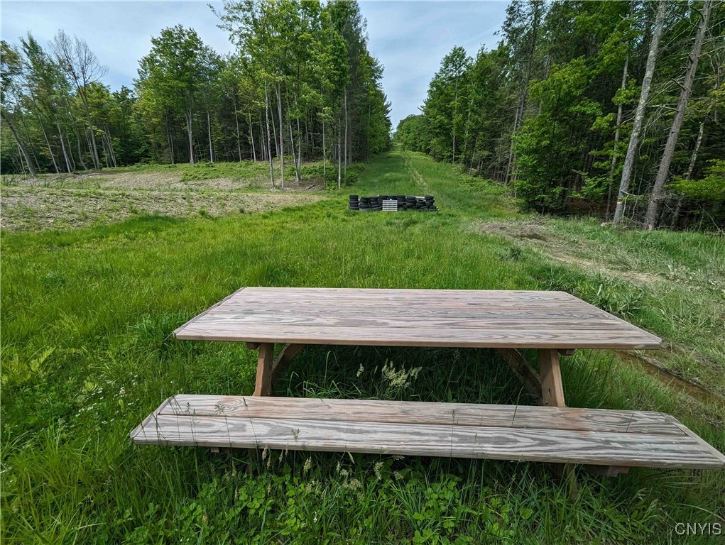 0 Black Ash Road Addison, NY 14801 - Photo 33 of 50