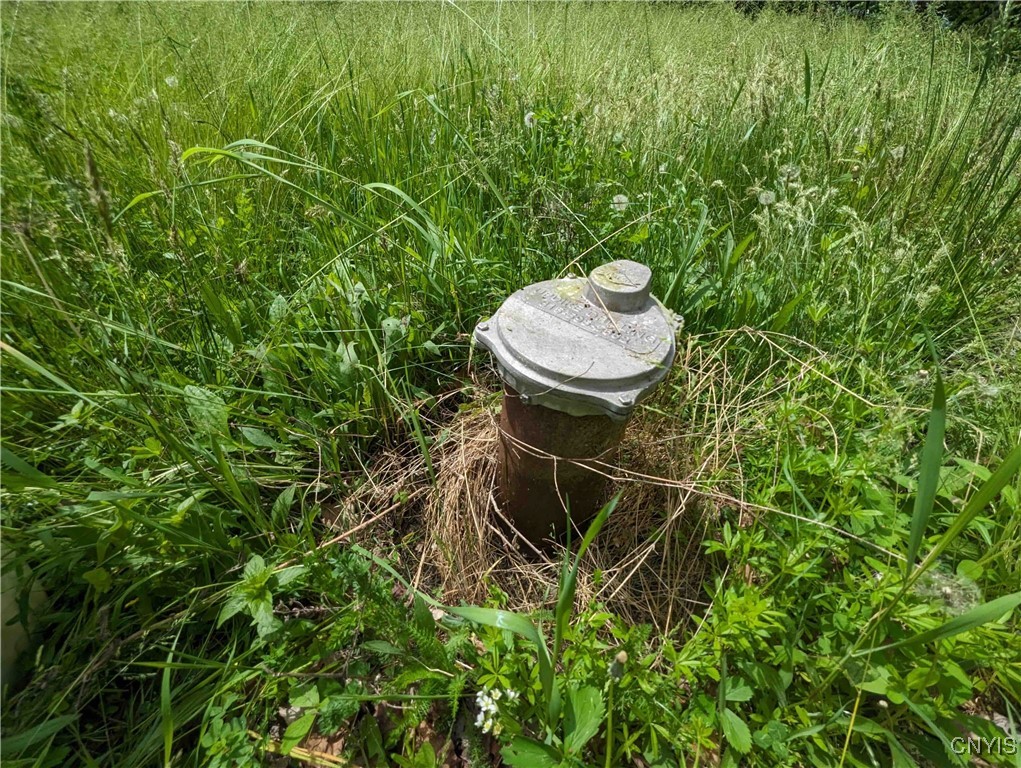 0 Black Ash Road Addison, NY 14801 - Photo 35 of 50