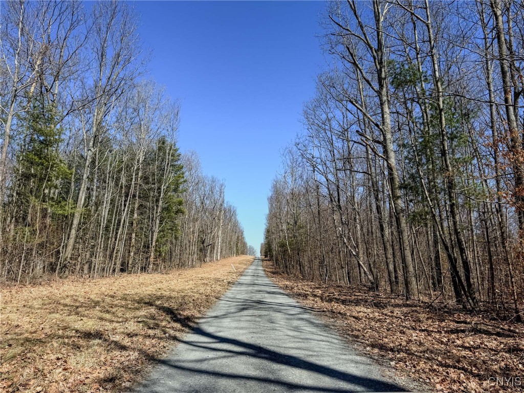 0 Black Ash Road Addison, NY 14801 - Photo 36 of 50