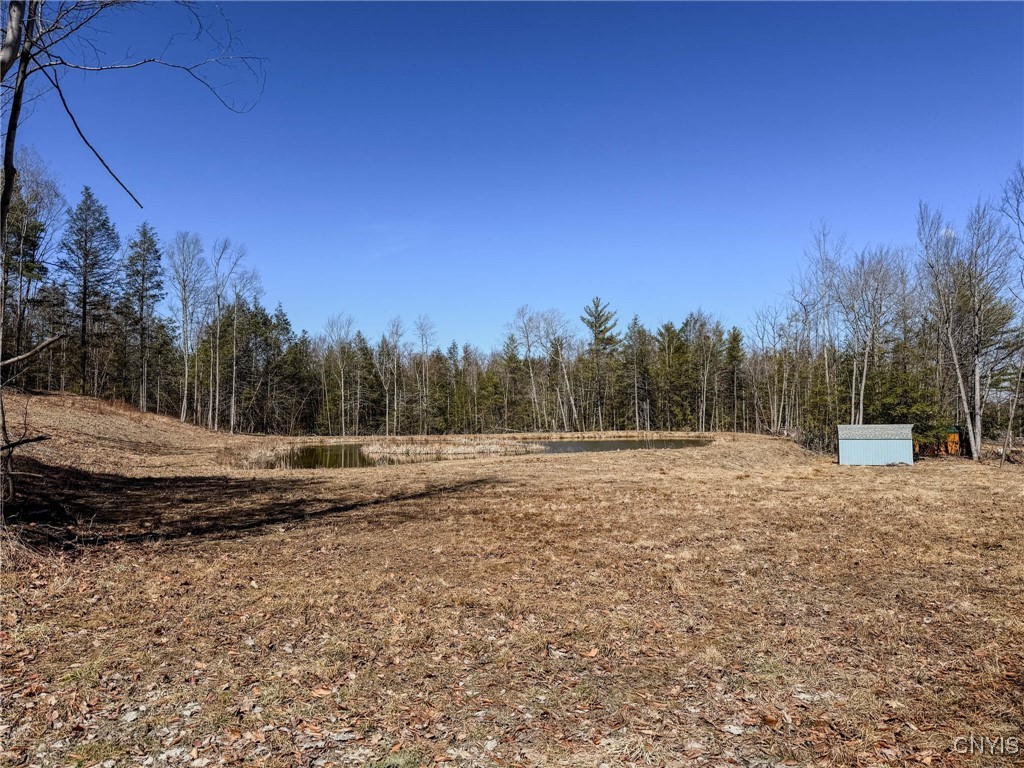 0 Black Ash Road Addison, NY 14801 - Photo 37 of 50