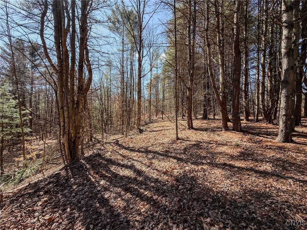 0 Black Ash Road Addison, NY 14801 - Photo 39 of 50