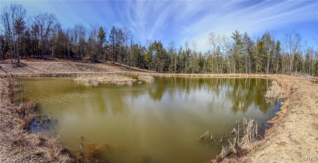 0 Black Ash Road Addison, NY 14801 - Photo 40 of 50