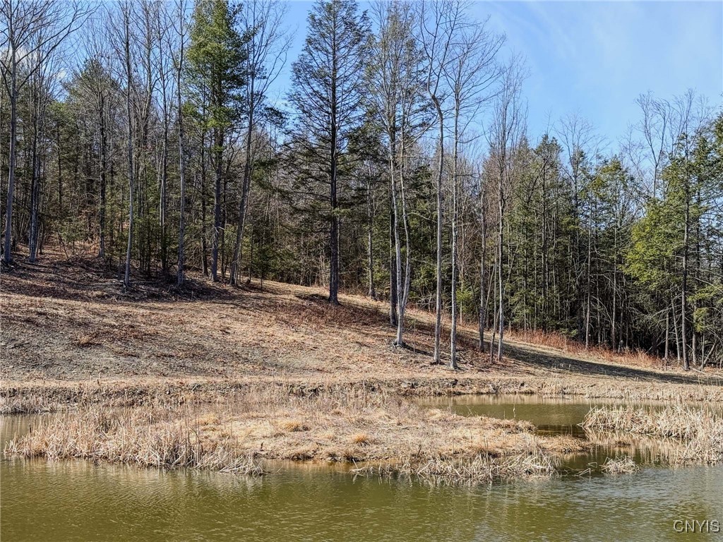 0 Black Ash Road Addison, NY 14801 - Photo 41 of 50