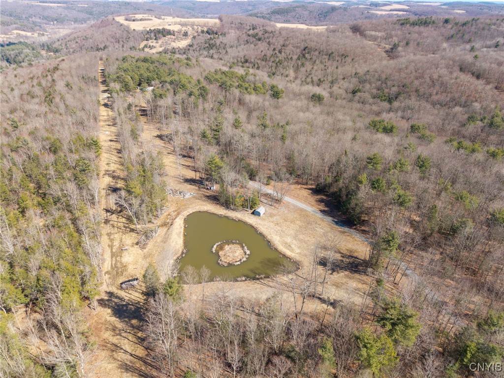 0 Black Ash Road Addison, NY 14801 - Photo 45 of 50