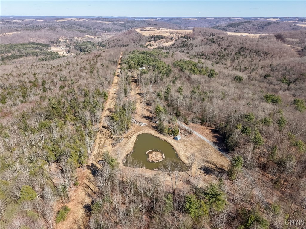 0 Black Ash Road Addison, NY 14801 - Photo 46 of 50