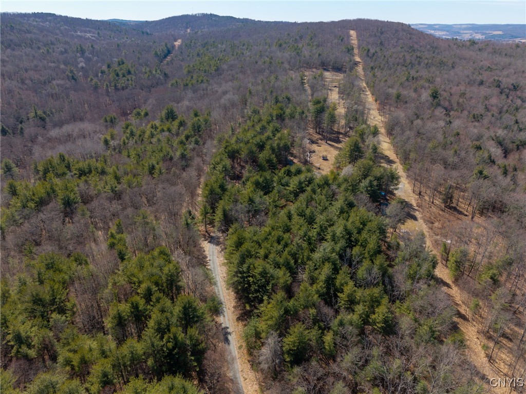 0 Black Ash Road Addison, NY 14801 - Photo 47 of 50