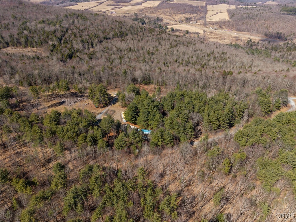 0 Black Ash Road Addison, NY 14801 - Photo 48 of 50