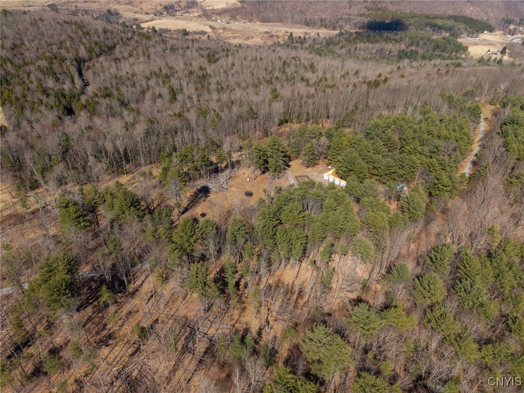 0 Black Ash Road Addison, NY 14801 - Photo 49 of 50