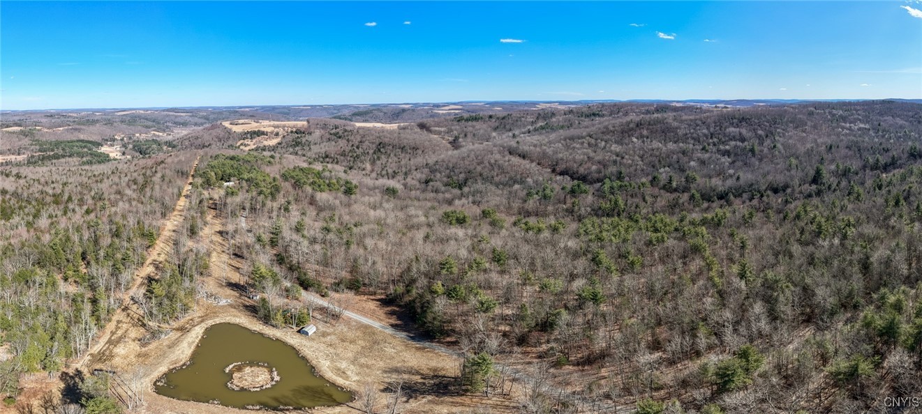 0 Black Ash Road Addison, NY 14801 - Photo 50 of 50