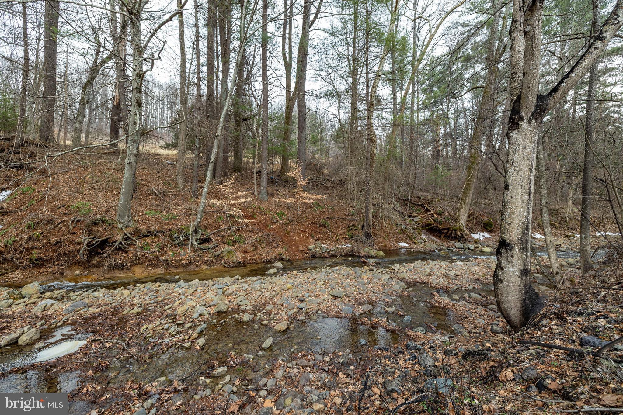 2800 Rocky Branch Road Luray, VA 22835 - Photo 102 of 105