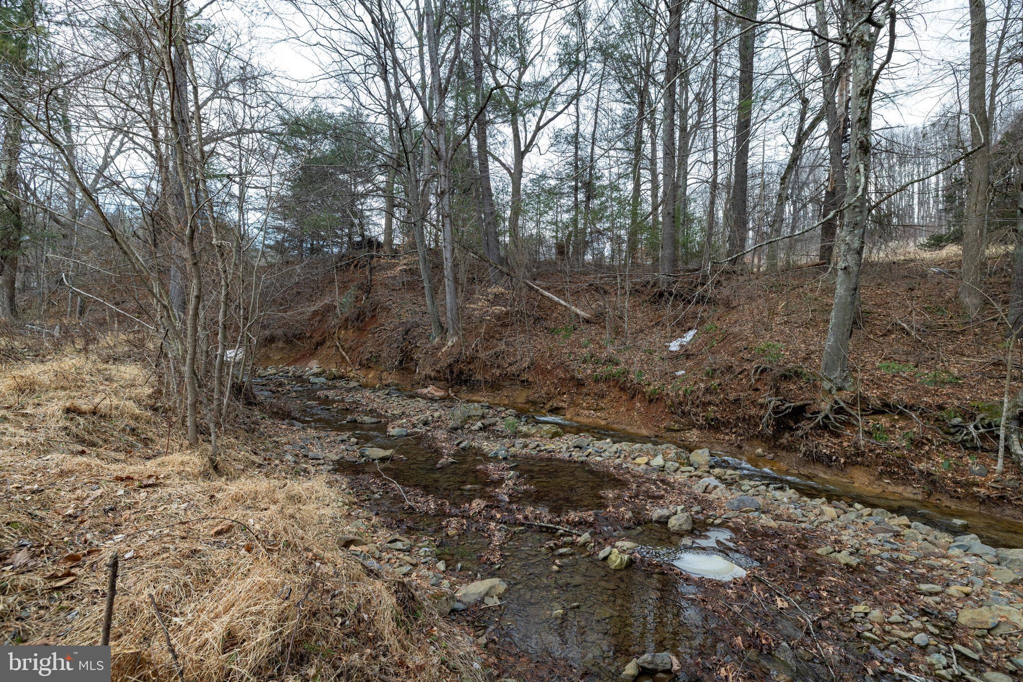 2800 Rocky Branch Road Luray, VA 22835 - Photo 103 of 105
