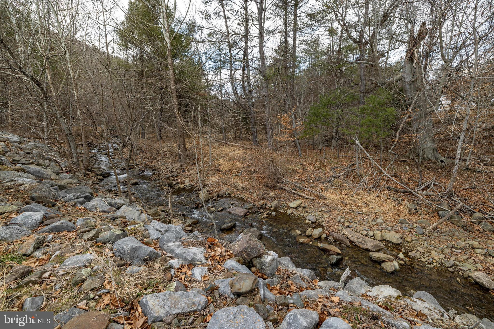 2800 Rocky Branch Road Luray, VA 22835 - Photo 104 of 105