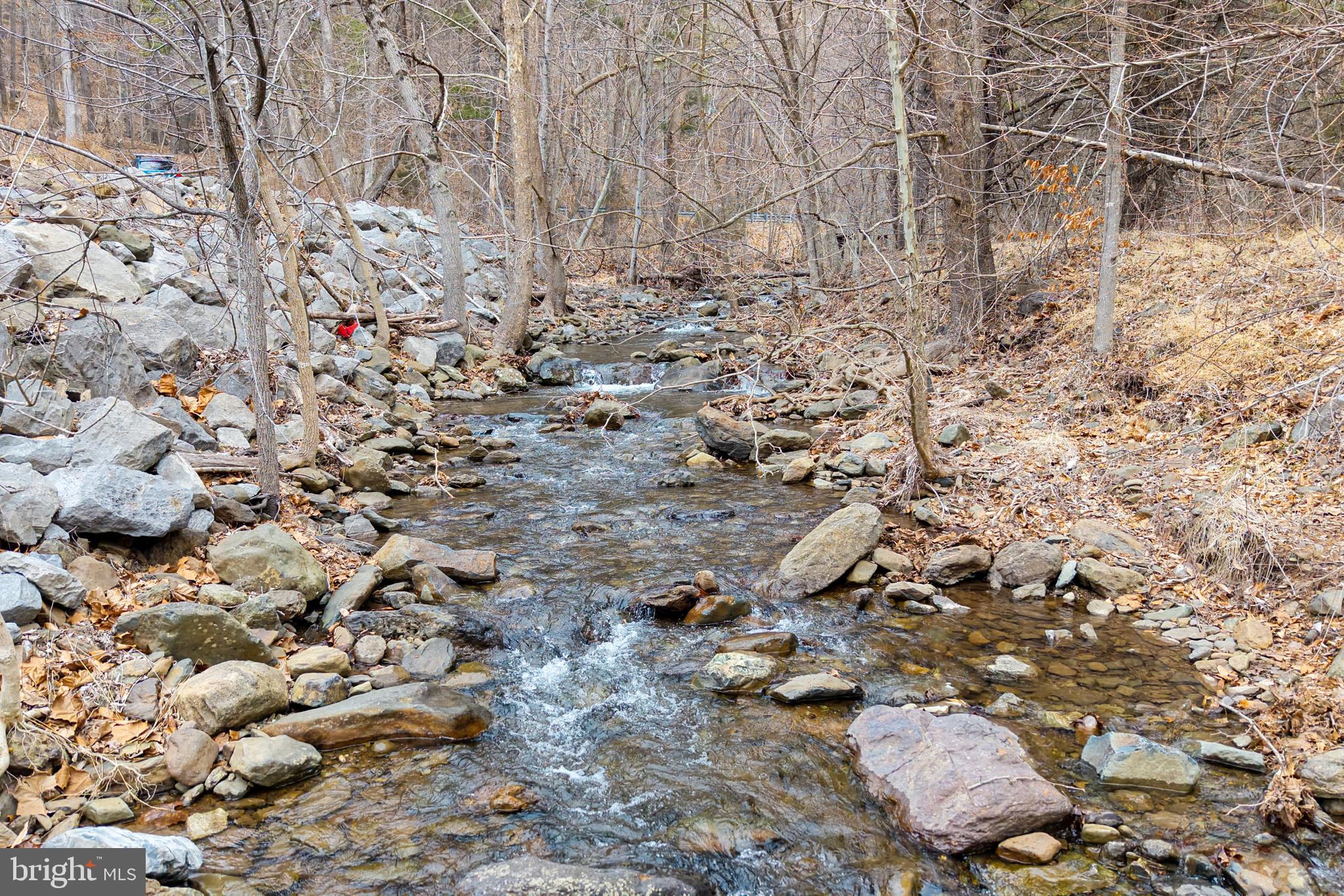2800 Rocky Branch Road Luray, VA 22835 - Photo 3 of 105
