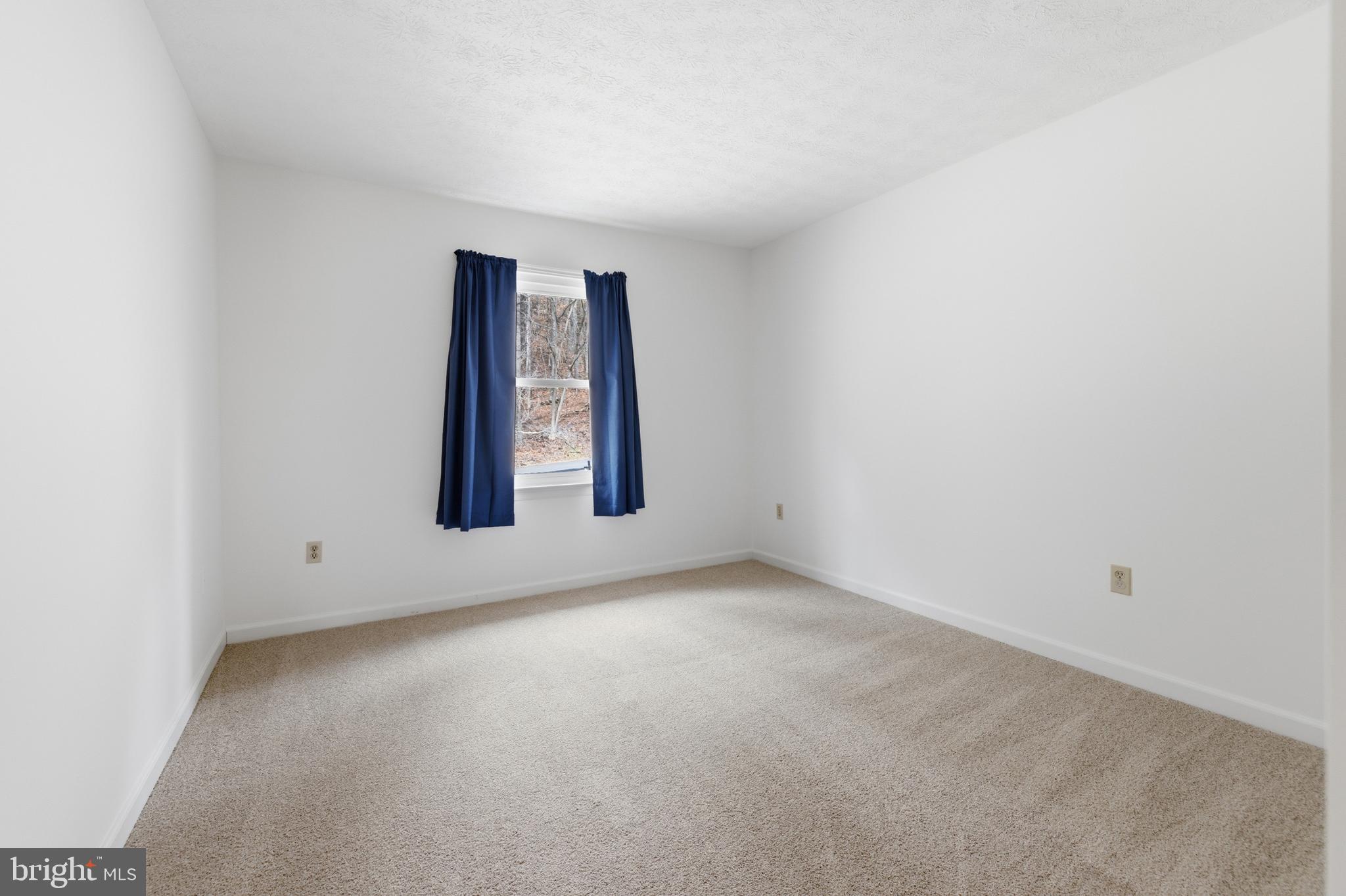 2800 Rocky Branch Road Luray, VA 22835 - Photo 31 of 105