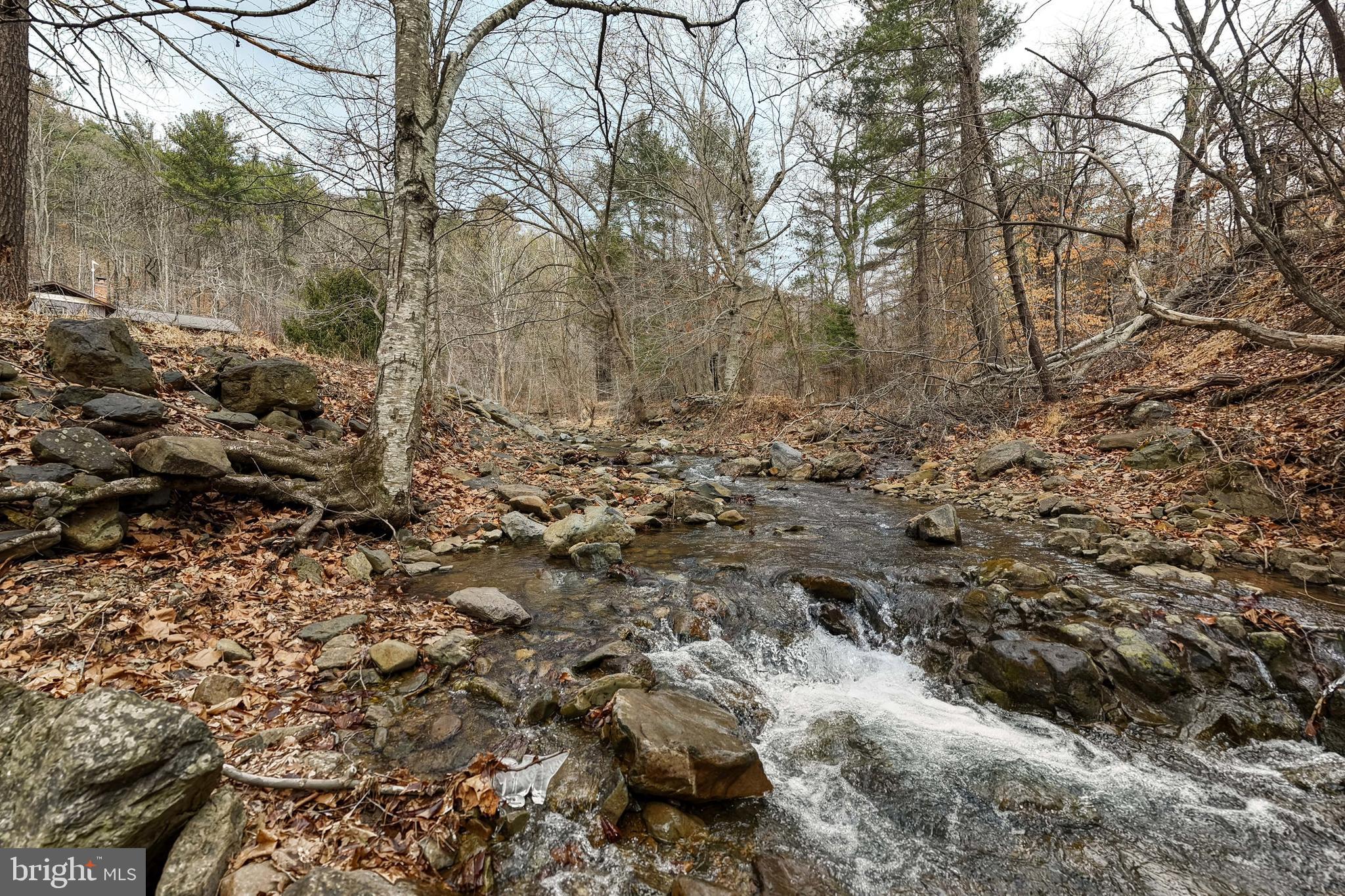 2800 Rocky Branch Road Luray, VA 22835 - Photo 4 of 105