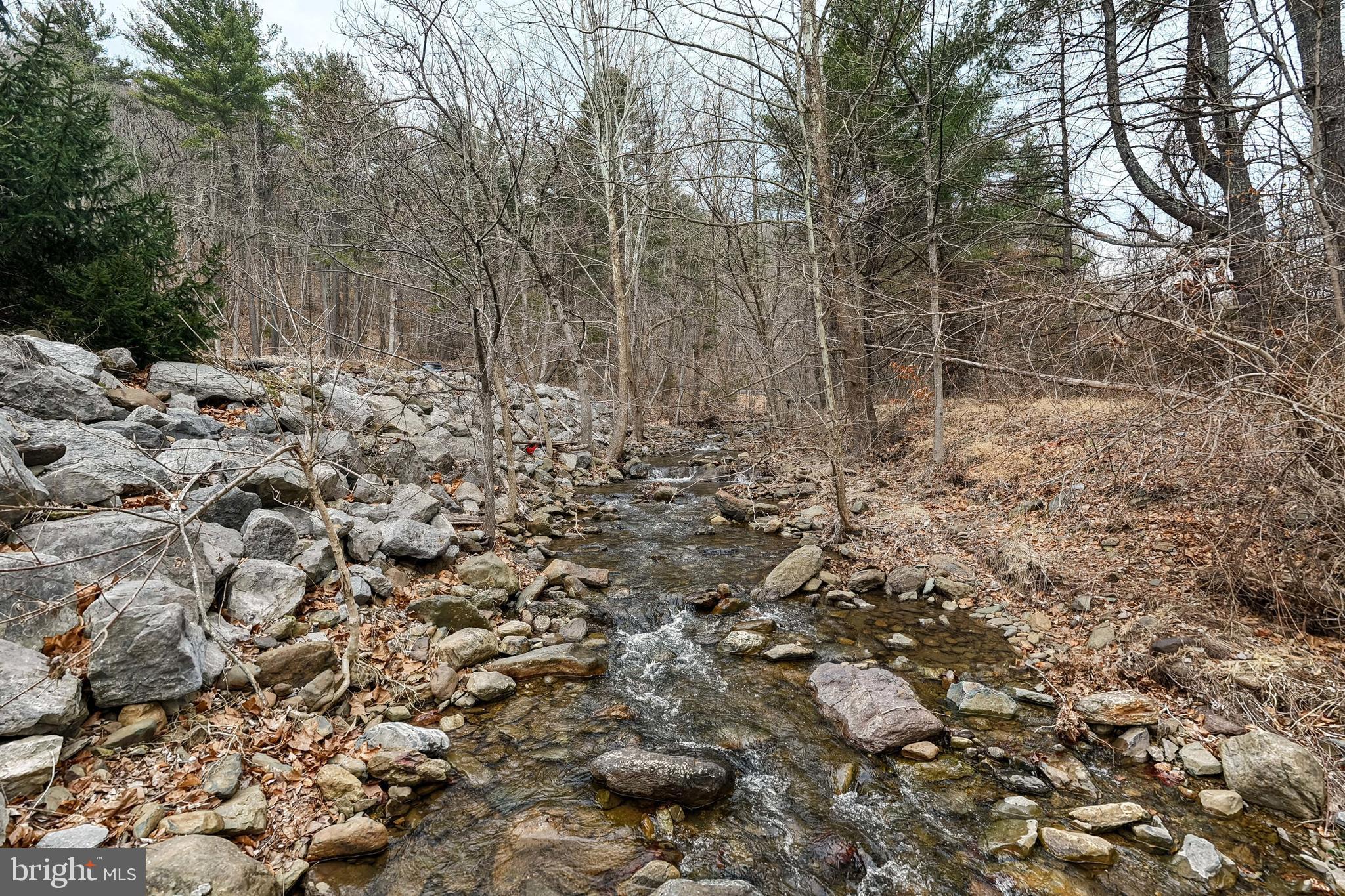 2800 Rocky Branch Road Luray, VA 22835 - Photo 77 of 105