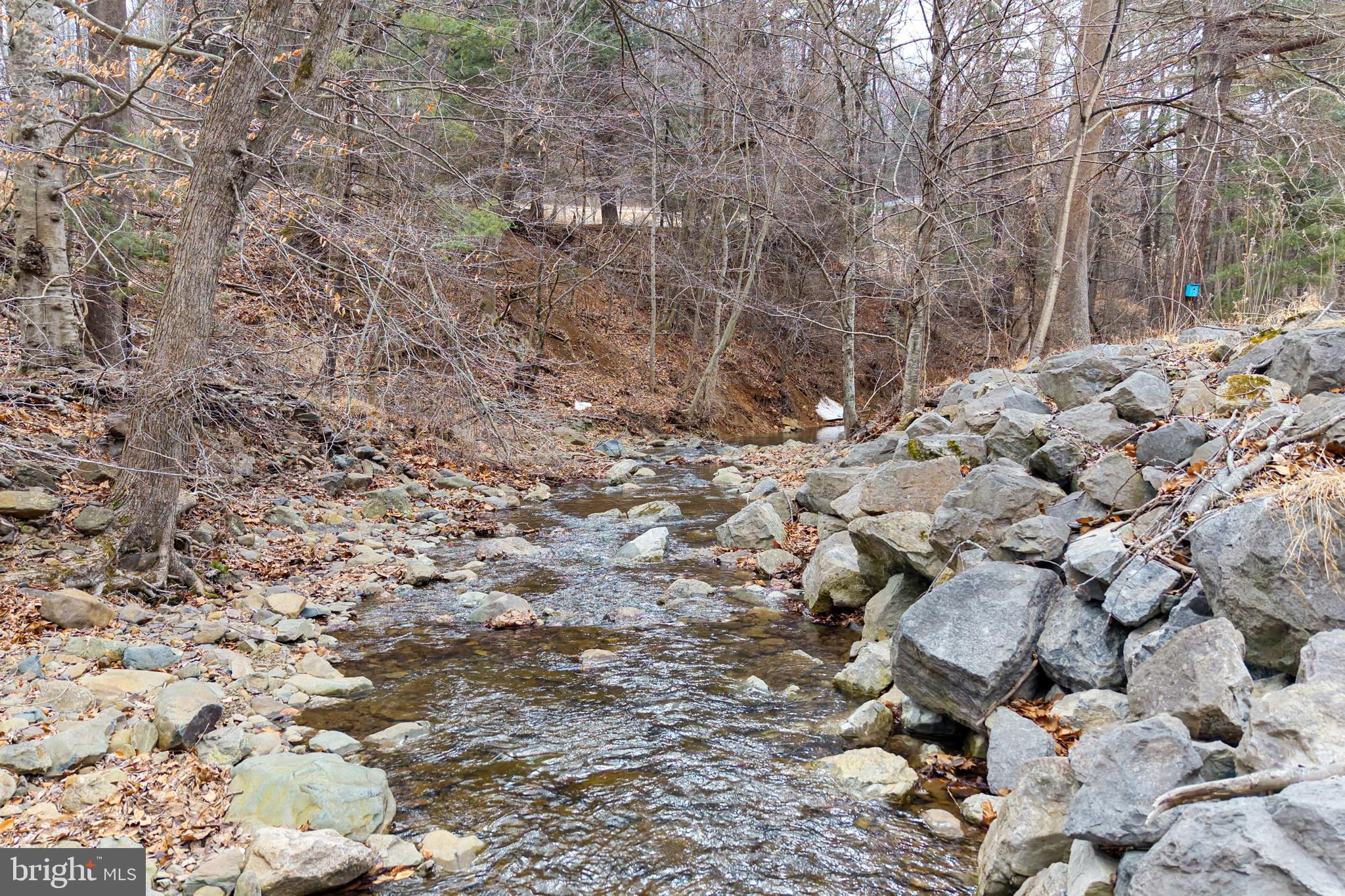 2800 Rocky Branch Road Luray, VA 22835 - Photo 78 of 105