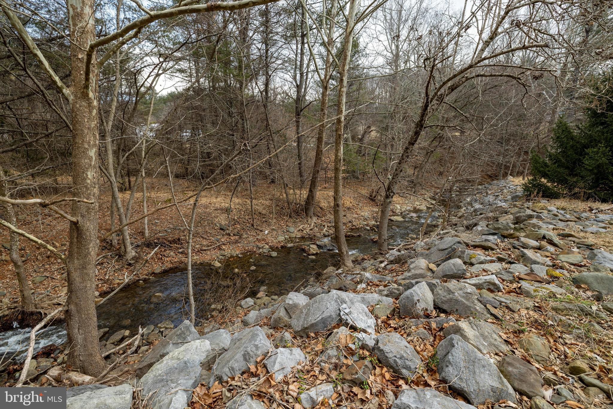 2800 Rocky Branch Road Luray, VA 22835 - Photo 85 of 105