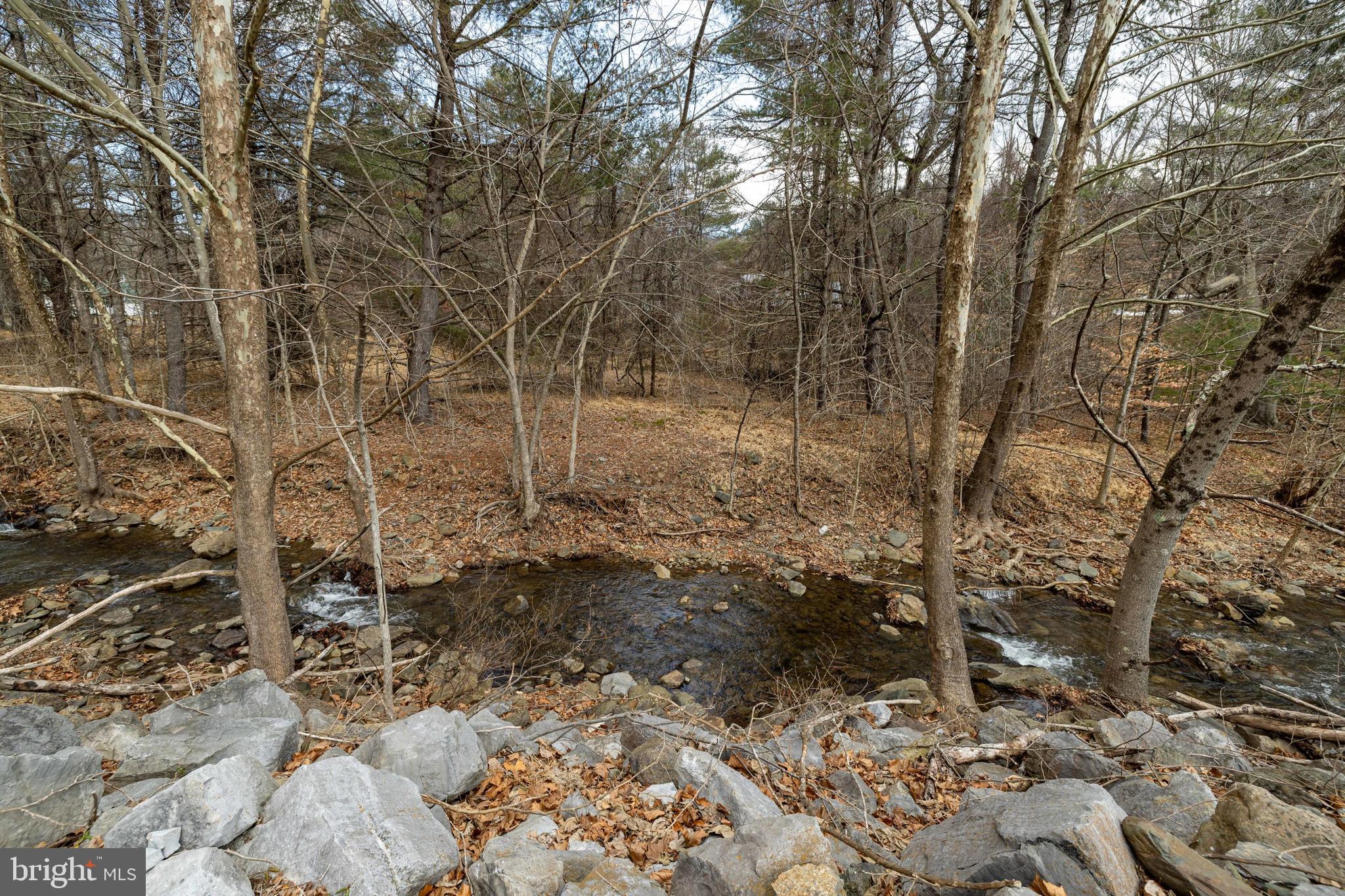 2800 Rocky Branch Road Luray, VA 22835 - Photo 86 of 105