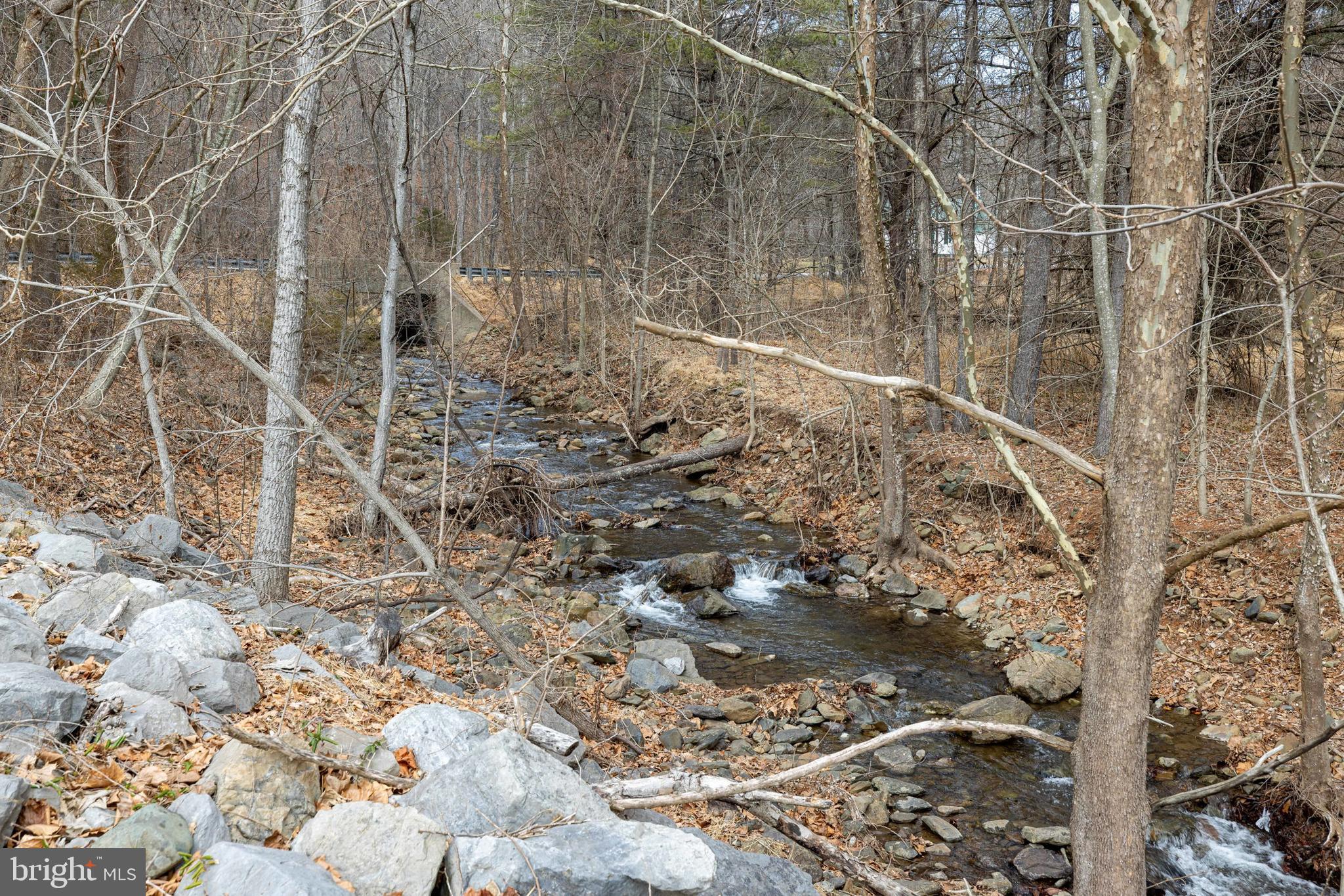 2800 Rocky Branch Road Luray, VA 22835 - Photo 87 of 105
