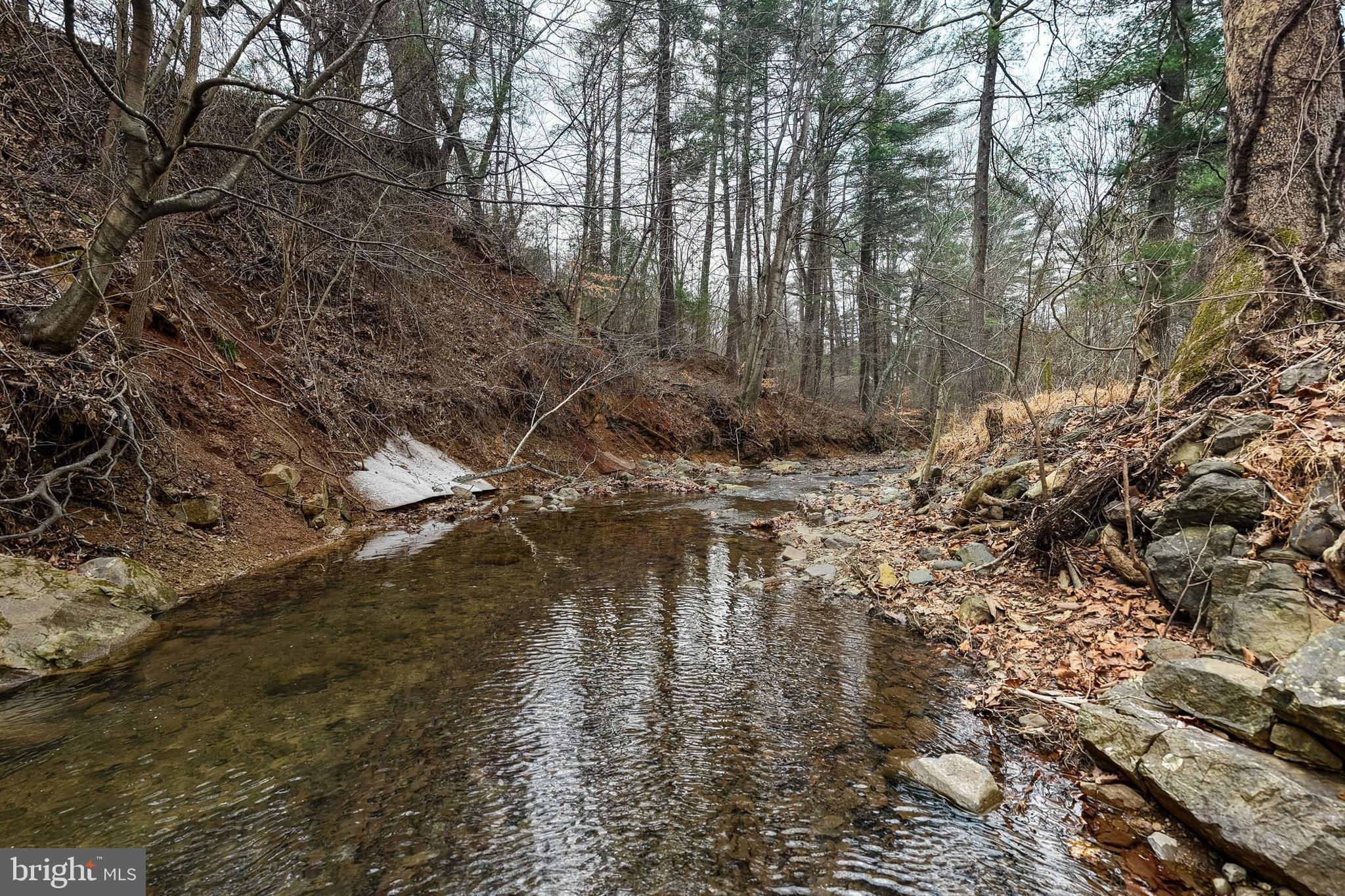 2800 Rocky Branch Road Luray, VA 22835 - Photo 100 of 105
