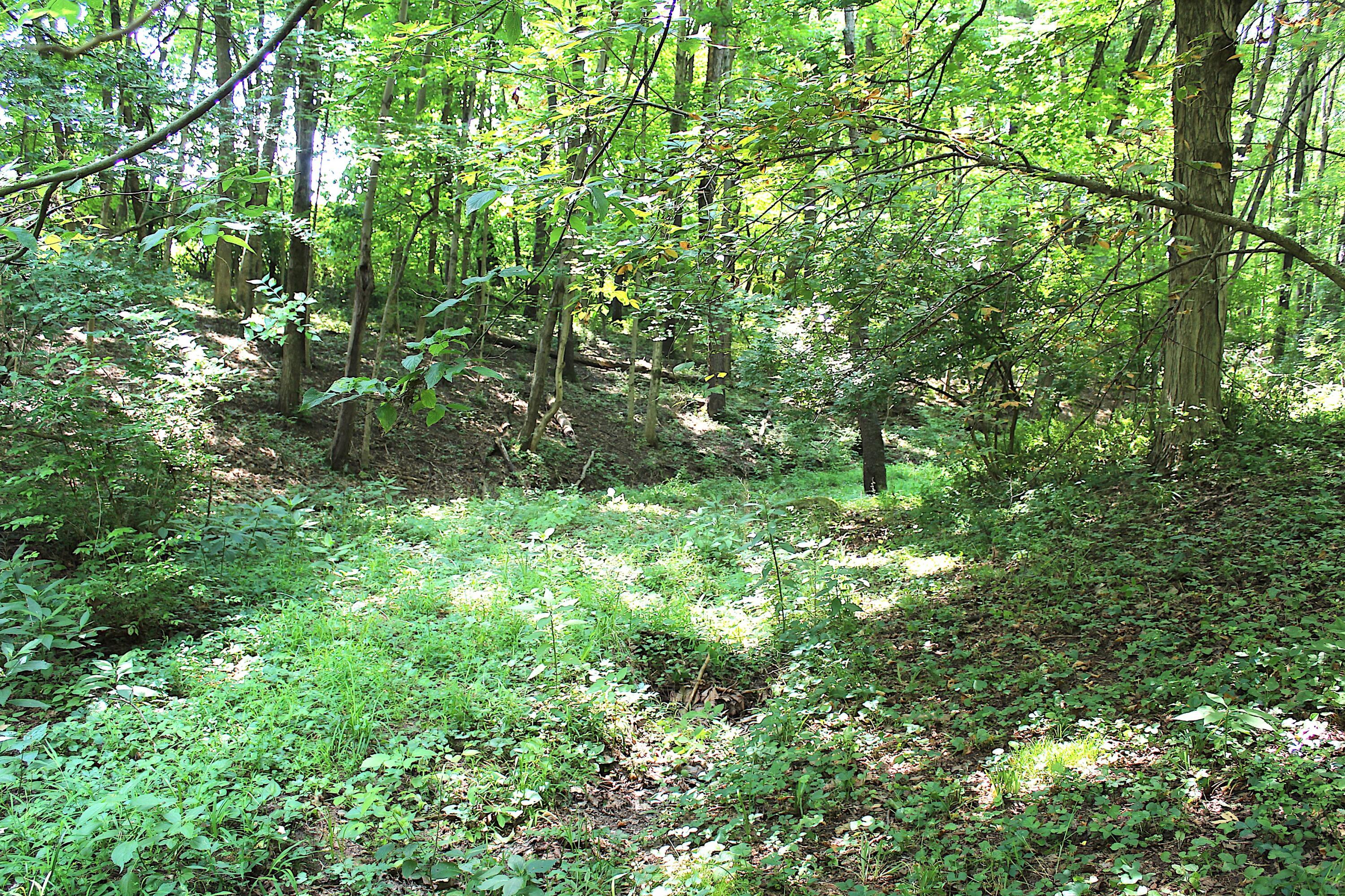 8870 Olentangy River Road Powell, OH 43065 - Photo 56 of 61 IMG_6754