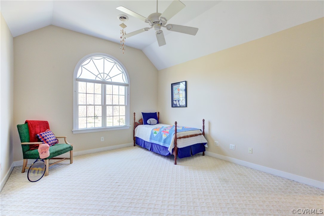 3407 Robious Forest Way Midlothian, VA 23113 - Photo 36 of 50