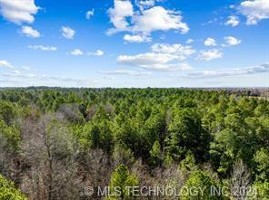 Red Road Fort Towson, OK 74735 - Photo 2 of 3 Expansive treed landscape with a mixture of evergreen and deciduous trees