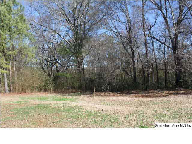 187 Forgotten Road Piedmont, AL 36272 - Photo 27 of 28