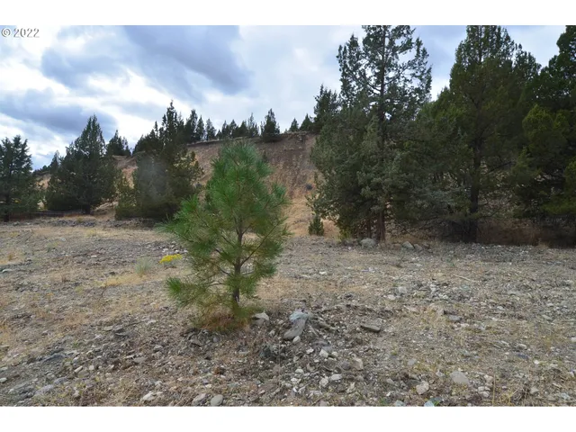 $45,000 | 2700 Elk View Drive, Canyon City, OR 97820