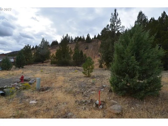 $45,000 | 2700 Elk View Drive, Canyon City, OR 97820