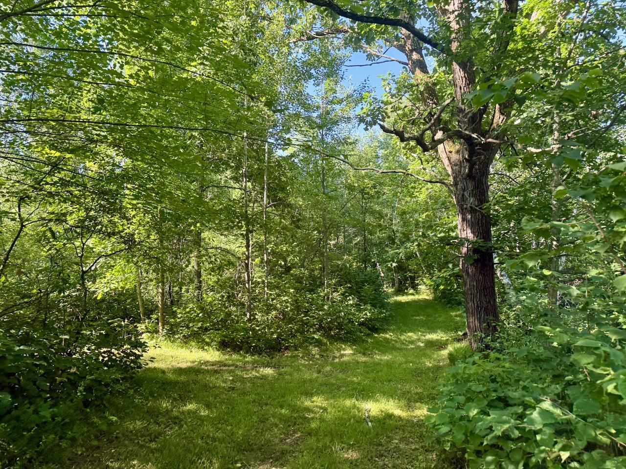 38252 Cloverdale Road Hinckley, MN 55037 - Photo 11 of 54