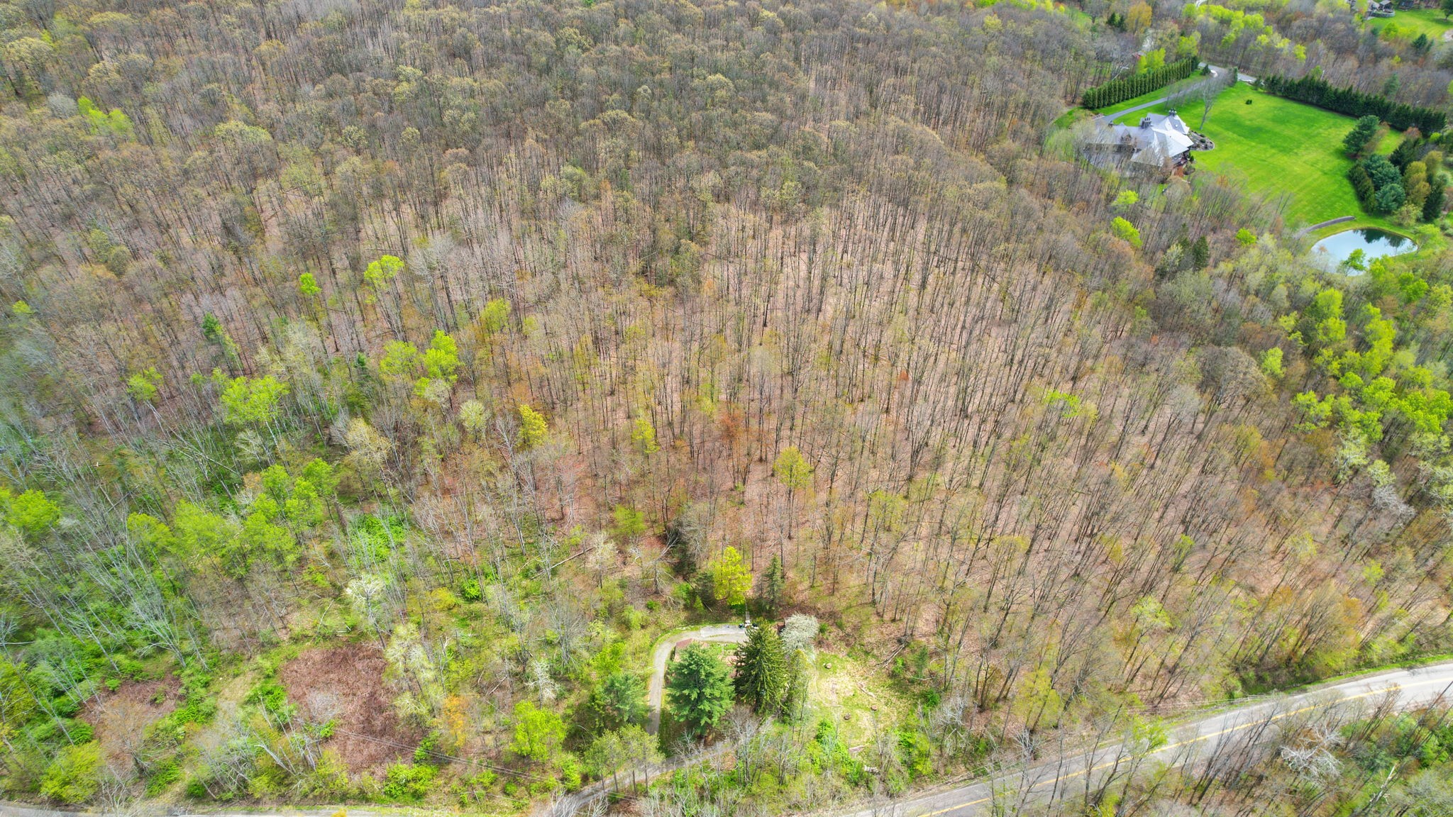 704 Powderhouse Road Vestal, NY 13850 - Photo 40 of 48