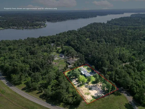 an aerial view of green landscape with trees houses and lake view