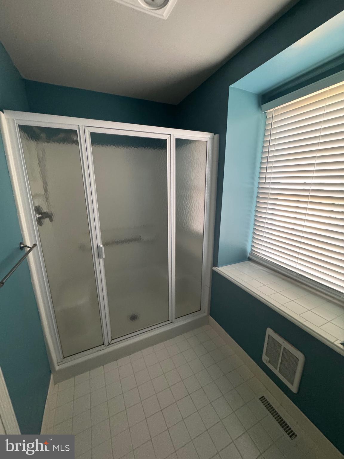 24 Scotch Pine Road Newark, DE 19711 - Photo 10 of 27 Master Bath
