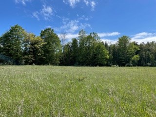 T/b/d Fieldcrest Road Sister Bay, WI 54234 - Photo 9 of 15