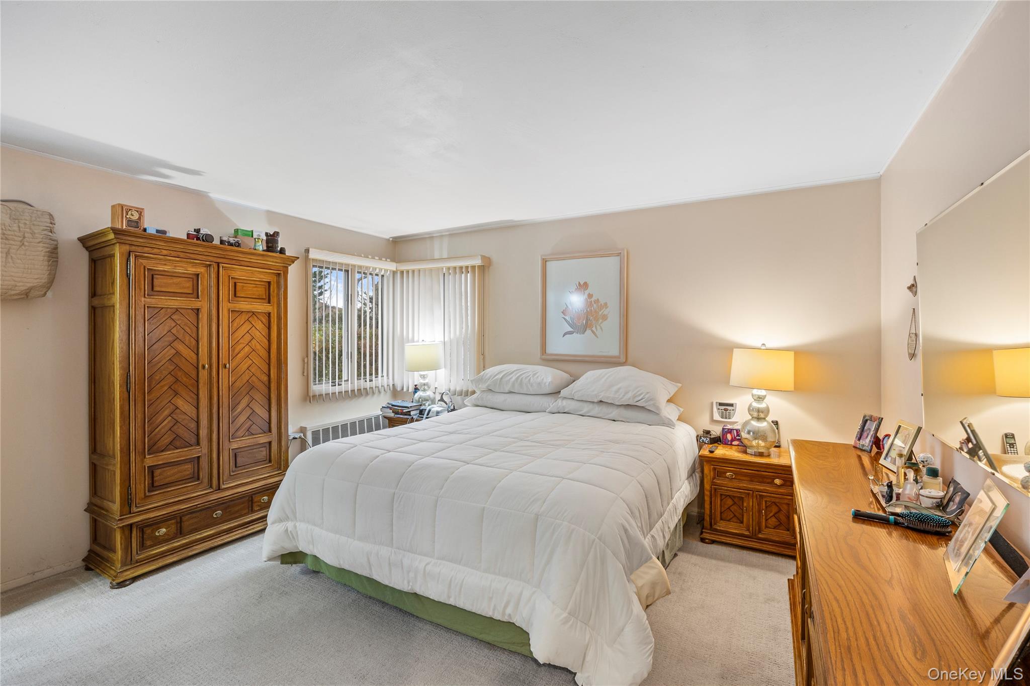 18 Roxbury Avenue Plainview, NY 11803 - Photo 10 of 23 Primary Bedroom