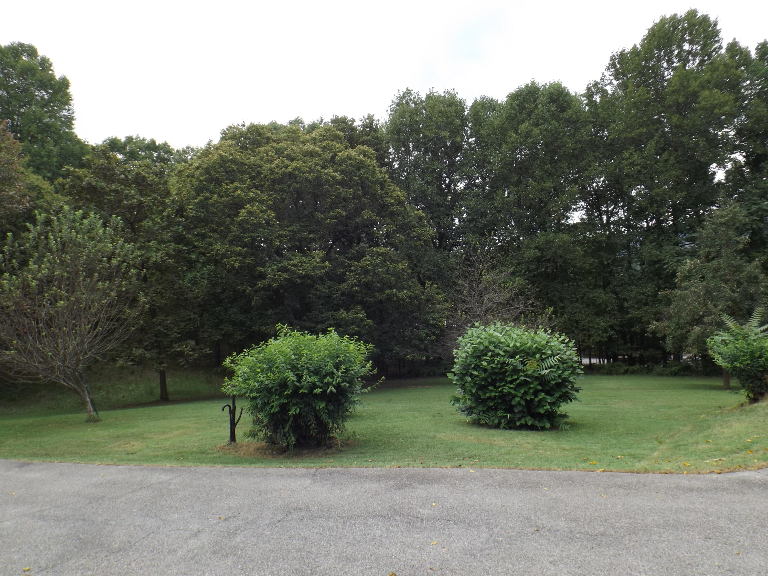 3147 Blue Ridge Boulevard Blue Ridge, VA 24064 - Photo 56 of 57 a green field with trees in the background