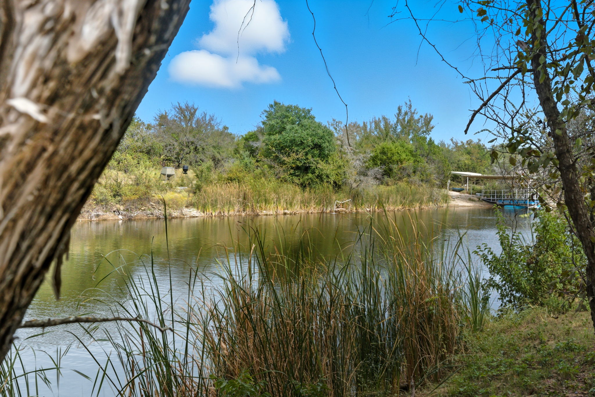 4636 Halsell Ranch Road Jacksboro, TX 76458 - Photo 26 of 39 a view of lake