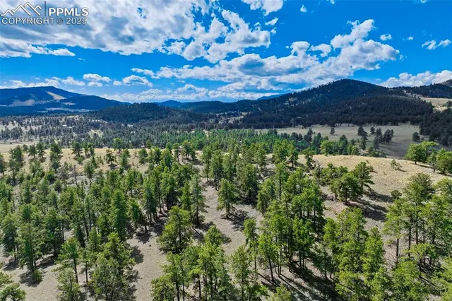 a view of a lake with a beach