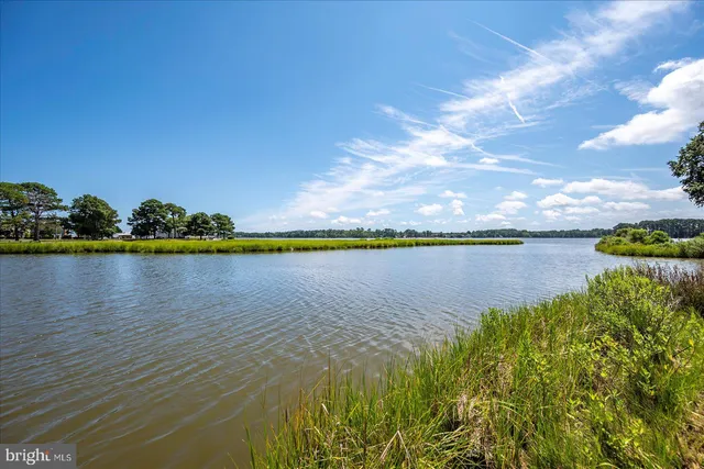a view of a lake with a big yard