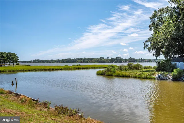 a view of a lake with houses in the back