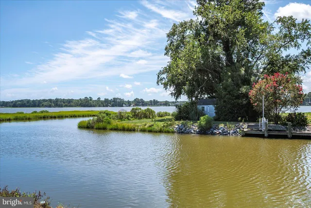 a view of a lake with houses in the back