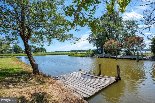 a view of a lake with houses in the background