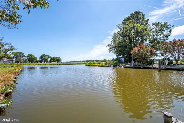 a view of a lake with houses in the background