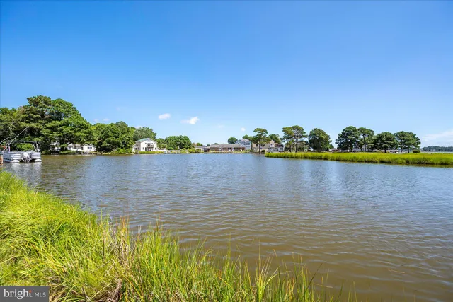 a front view of house with yard and trees around